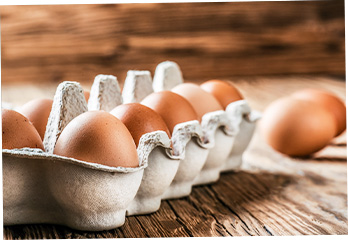 Egg - common causes serious allergic reaction