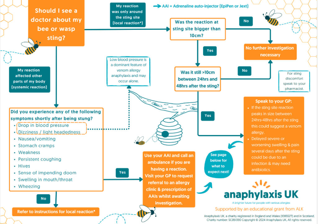 Bee and Wasp Sting Essentials