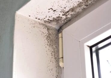 If you’re allergic to dust mites or mould, use allergy-proof bedding and keep your living space clean and well-ventilated